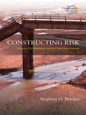 cover image of Constructing Risk